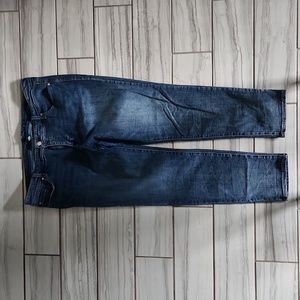 Melissa McCarthy Seven jeans size 20 blue